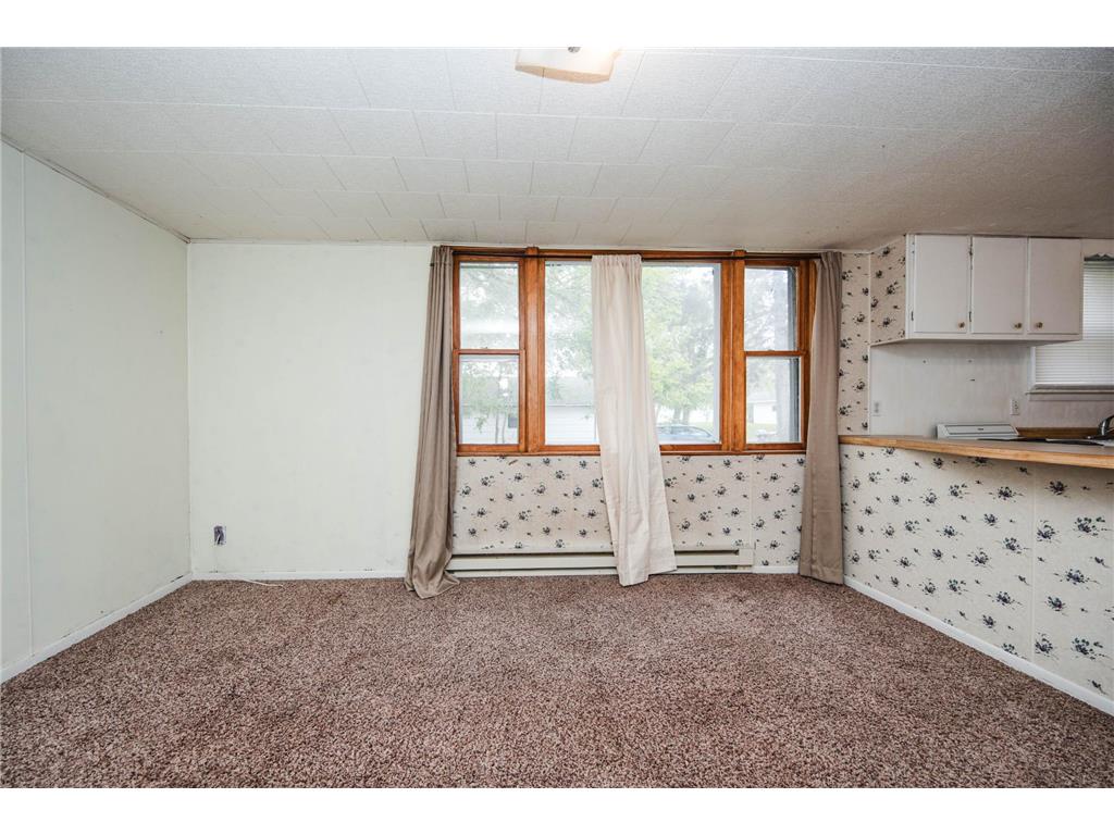 313 Elizabeth Street Detroit Lakes MN 56501 7076709 image31
