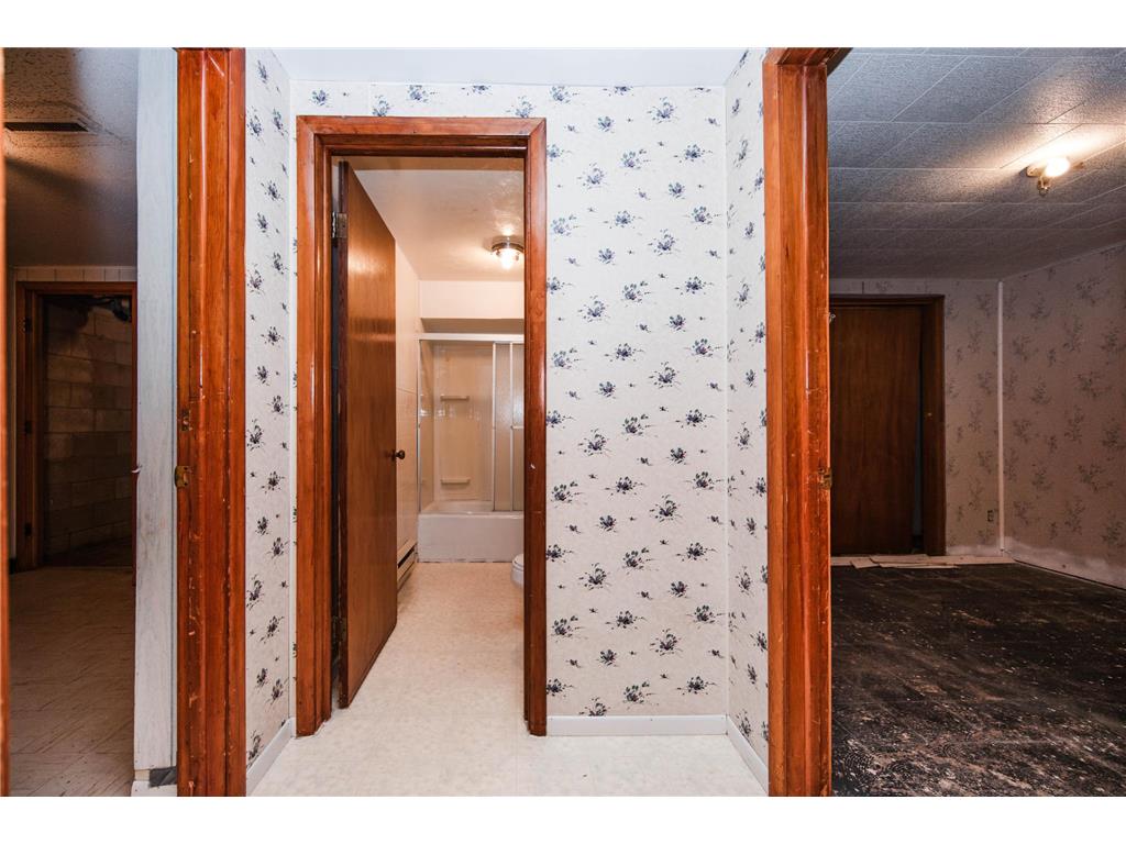 313 Elizabeth Street Detroit Lakes MN 56501 7076709 image37