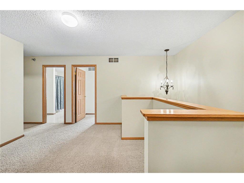 313 Frederick Circle Hastings MN 55033 7043378 image15