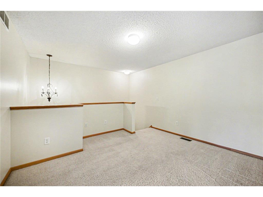 313 Frederick Circle Hastings MN 55033 7043378 image17