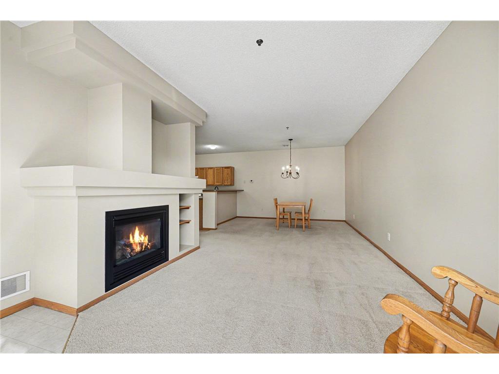 313 Frederick Circle Hastings MN 55033 7043378 image3