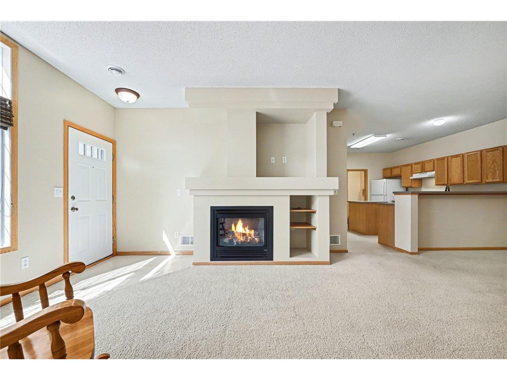 313 Frederick Circle Hastings MN 55033 7043378 image6