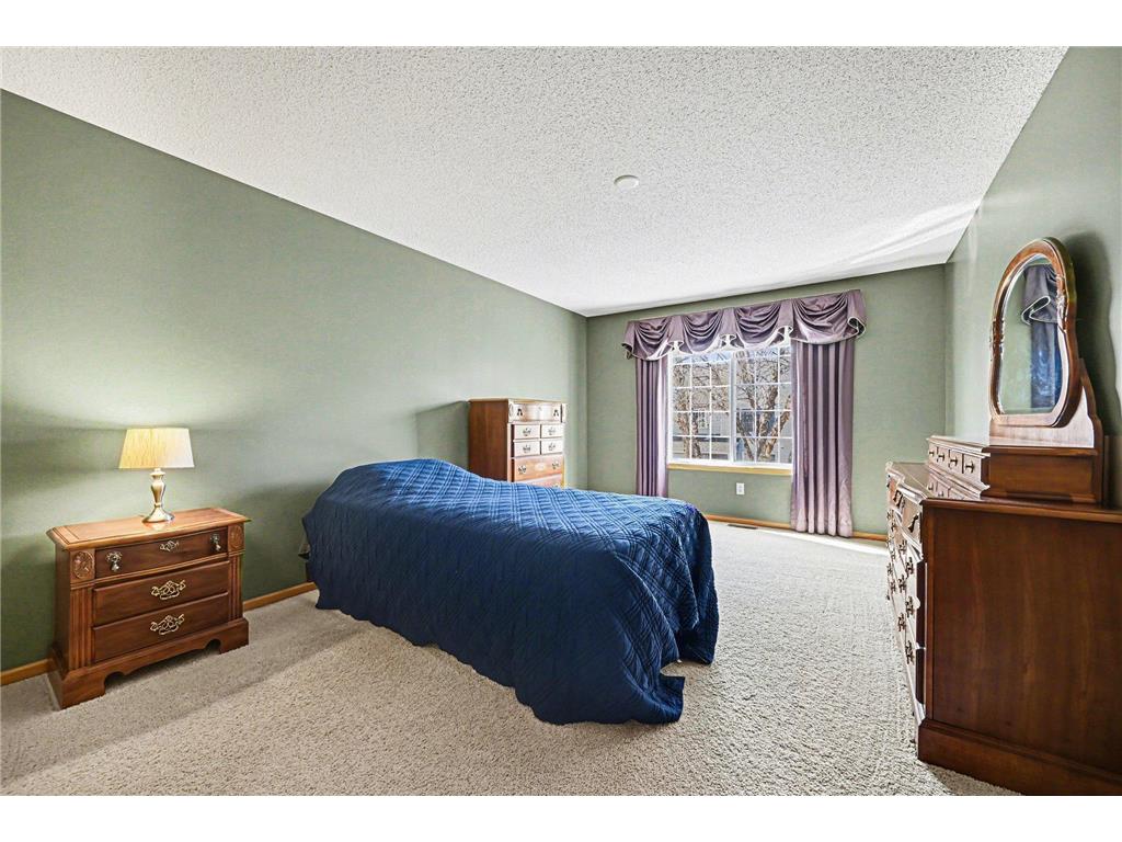 313 Frederick Circle Hastings MN 55033 7043378 image21
