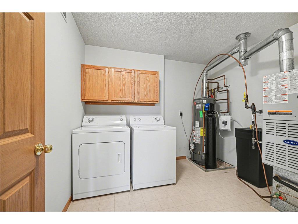 313 Frederick Circle Hastings MN 55033 7043378 image23