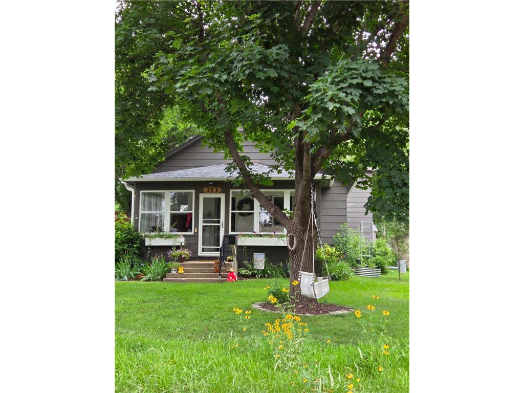 313 Stephens Avenue Ortonville MN 56278 7029039 image1