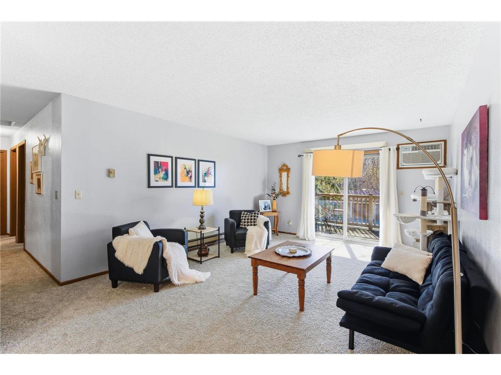 3130 Cory Lane #205 Hastings MN 55033 7055748 image1