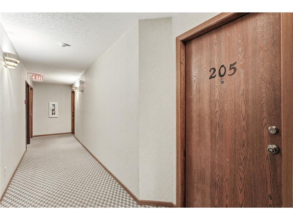 3130 Cory Lane #205 Hastings MN 55033 7055748 image7