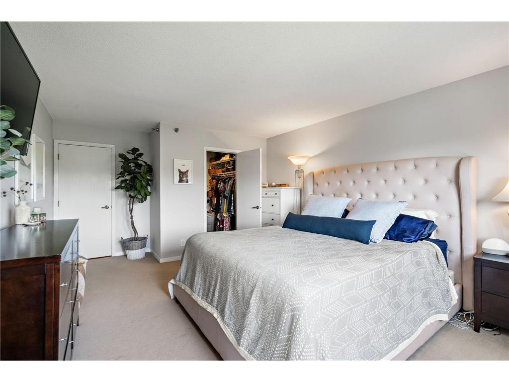 3131 Excelsior Boulevard #713 Minneapolis MN 55416 - Bde Maka Ska 7082017 image11