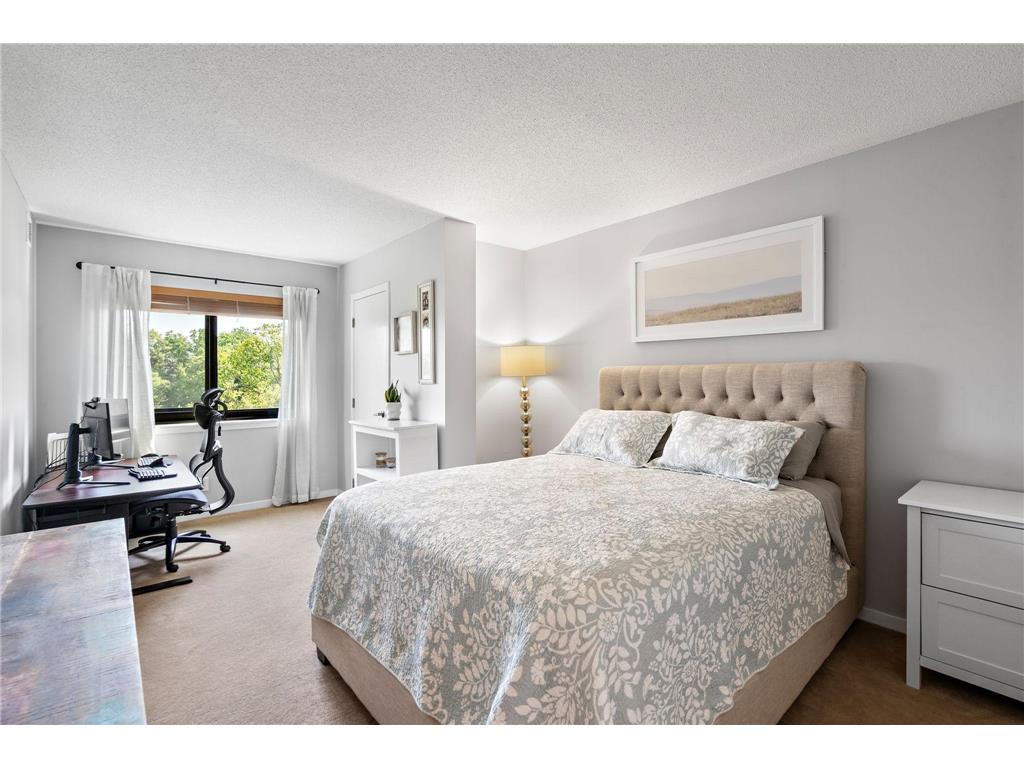 3131 Excelsior Boulevard #713 Minneapolis MN 55416 - Bde Maka Ska 7082017 image14