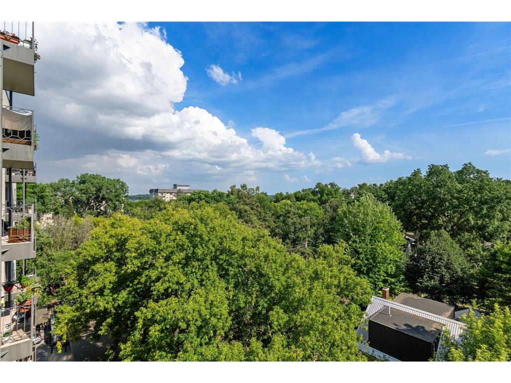 3131 Excelsior Boulevard #713 Minneapolis MN 55416 - Bde Maka Ska 7082017 image17