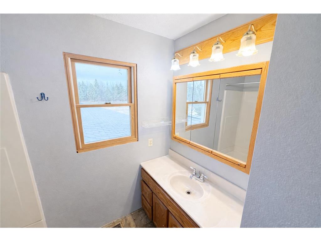 31318 830th Street Alba Twp MN 56119 7018266 image11