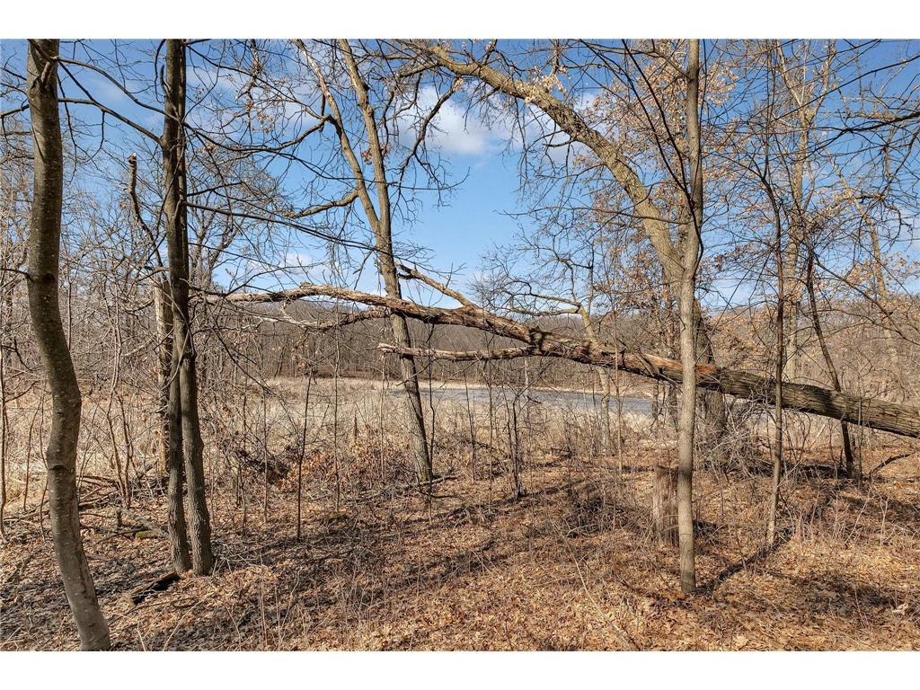 31325 Larkspur Lane Collegeville Twp MN 56310 7041895 image36