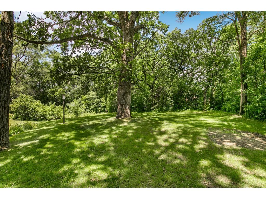 3135 Blackheath Drive Saint Cloud MN 56301 7096765 image47