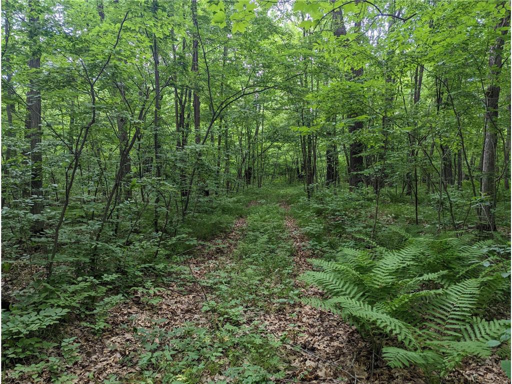 31397 River Bend Drive Chengwatana Twp MN 55063 6386994 image1