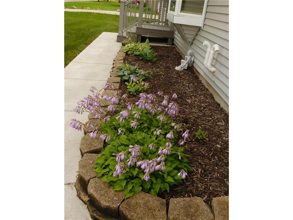 314 10th Ave SE Elbow Lake MN 56531 6817116 image34