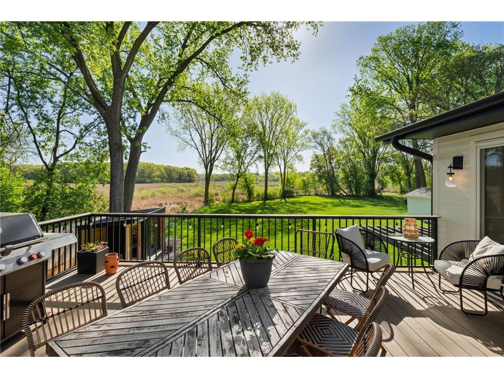 3141 Fairchild Avenue Minnetonka MN 55391 - Libbs 7076089 image29