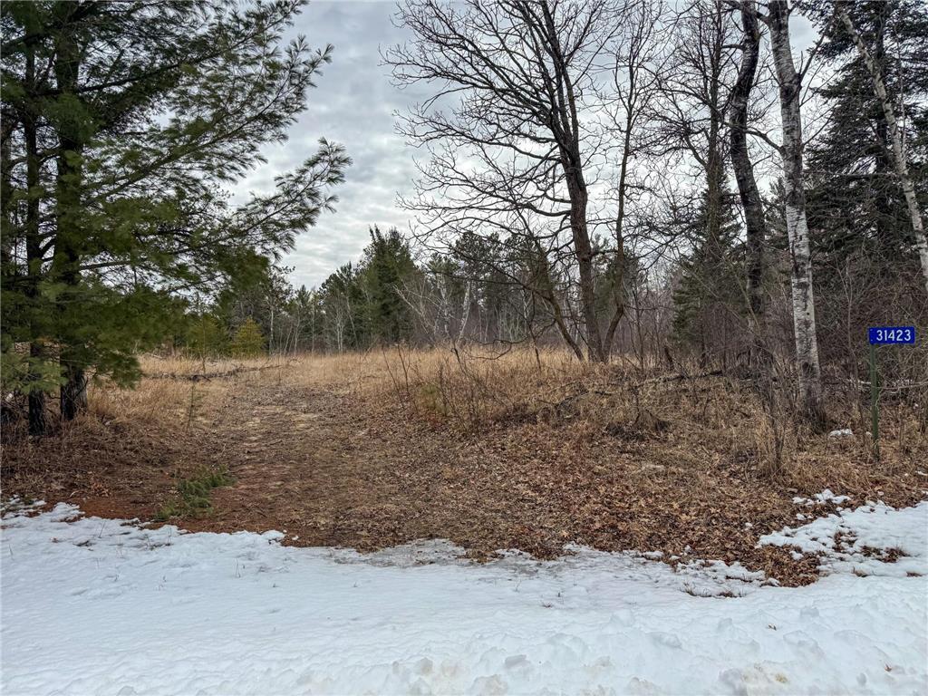 31423 Wejack Road Cass Lake MN 56633 6699932 image1