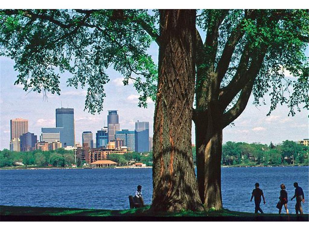 3145 Dean Court #1100 Minneapolis MN 55416 - Bde Maka Ska 6812293 image75