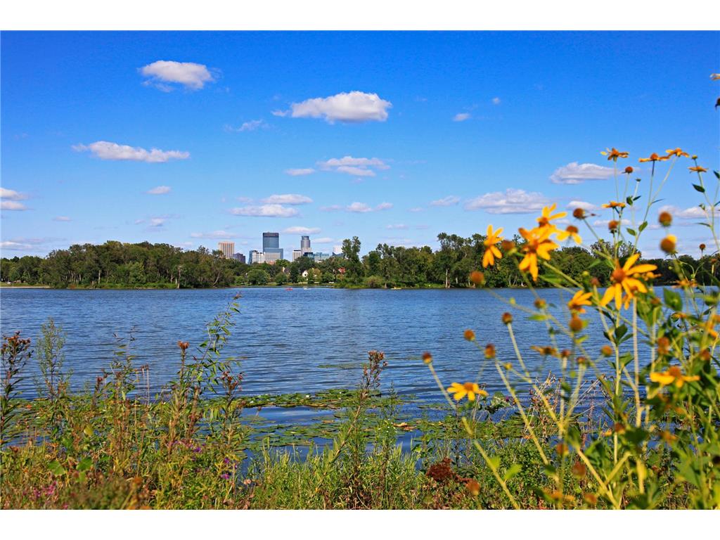 3145 Dean Court #501 Minneapolis MN 55416 7015385 image58