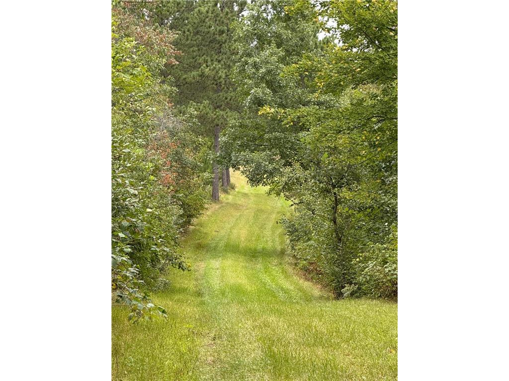 31455 Nagel Road Pequot Lakes MN 56472 6783829 image1