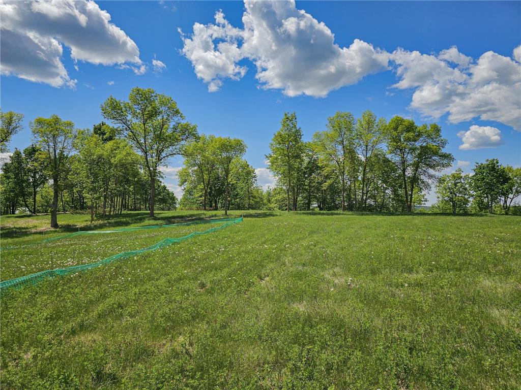 340XX 452nd St [A4] Vergas MN 56587 - East Loon 6728164 image4