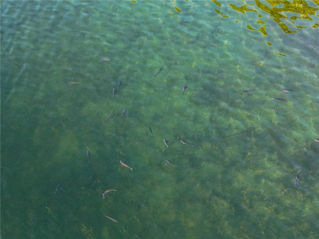 340XX 452nd St [A4] Vergas MN 56587 - East Loon 6728164 image9