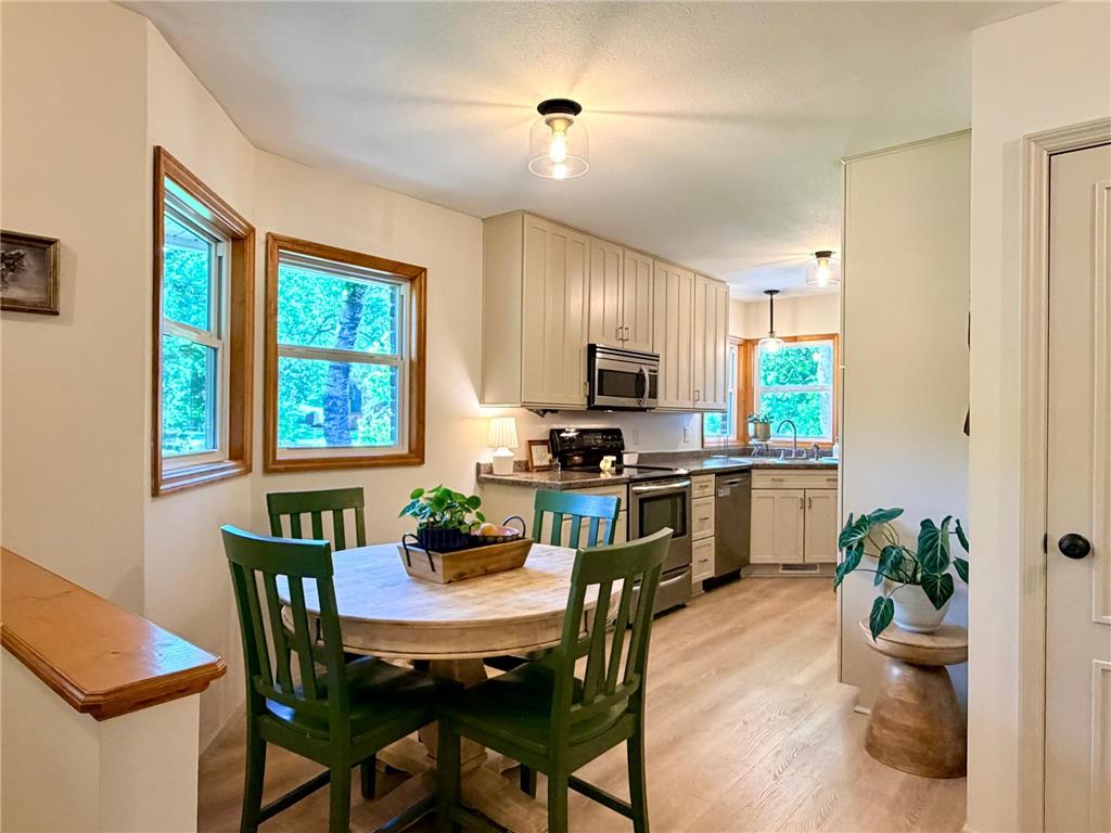 315 Fingal Drive Alexandria MN 56308 - Victoria 7089262 image17
