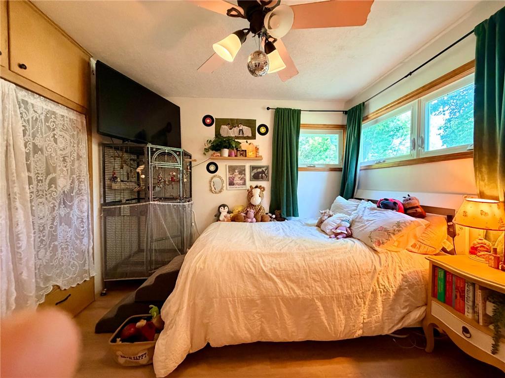 315 Fingal Drive Alexandria MN 56308 - Victoria 7089262 image27
