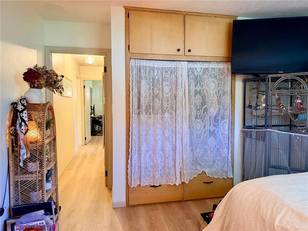 315 Fingal Drive Alexandria MN 56308 - Victoria 7089262 image29