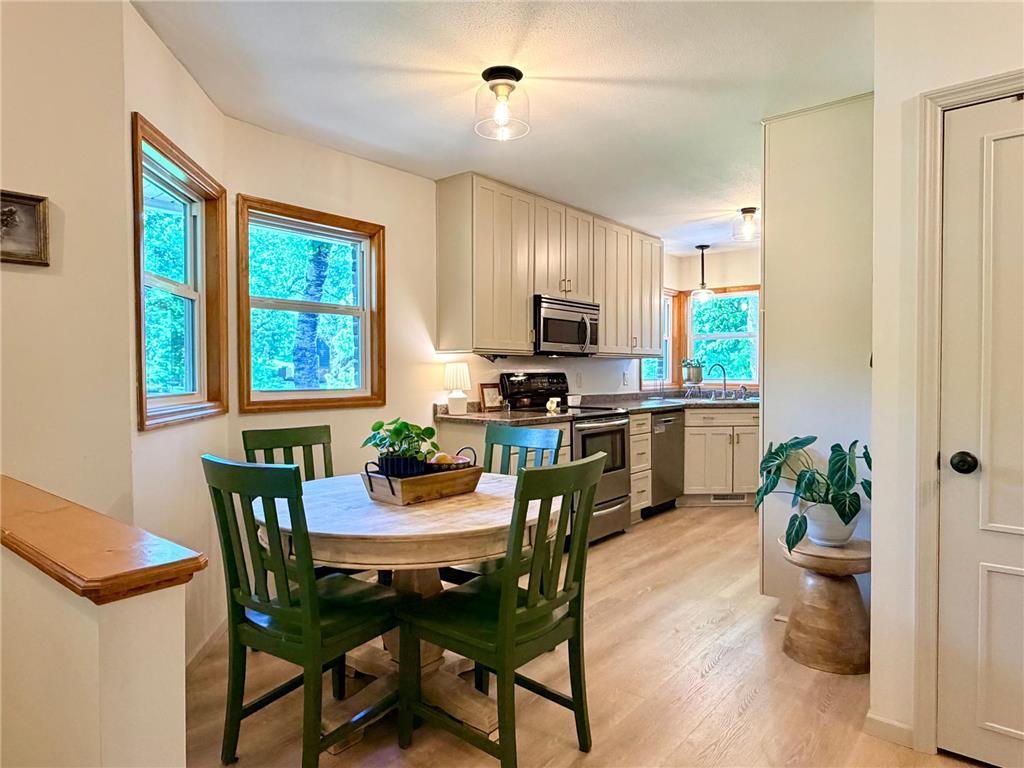 315 Fingal Drive Alexandria MN 56308 - Victoria 7089262 image3