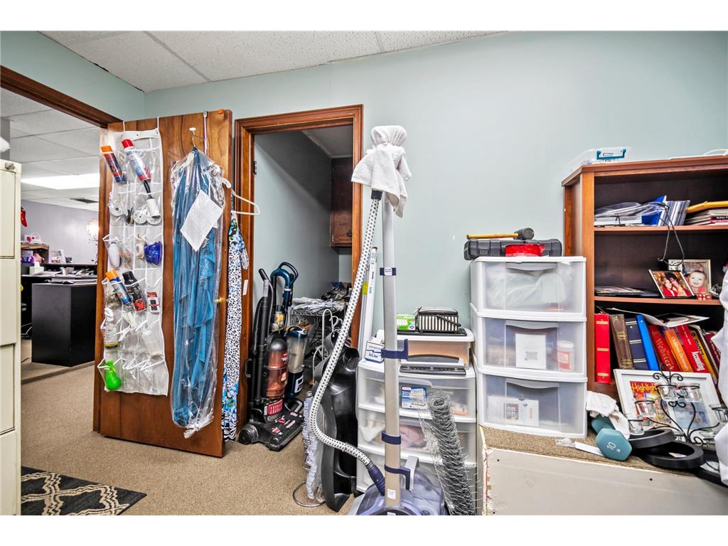 315 N Cedar Avenue Owatonna MN 55060 6658425 image27