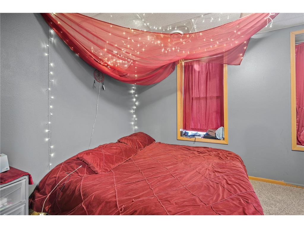 315 N Cedar Avenue Owatonna MN 55060 6658425 image38