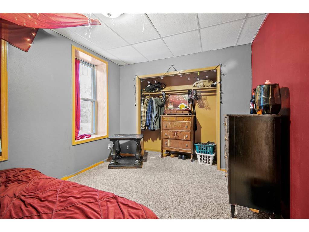 315 N Cedar Avenue Owatonna MN 55060 6658425 image39