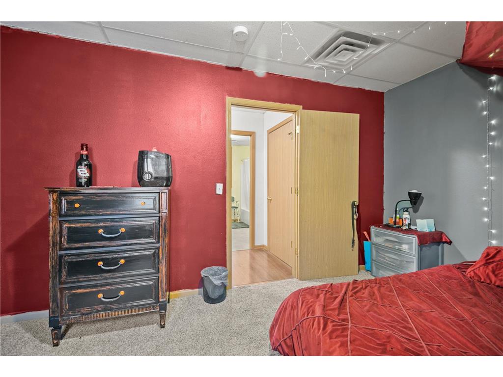 315 N Cedar Avenue Owatonna MN 55060 6658425 image40