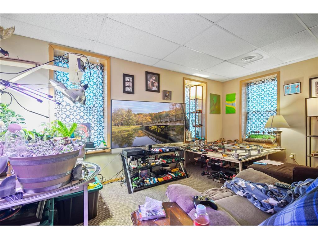 315 N Cedar Avenue Owatonna MN 55060 6658425 image48