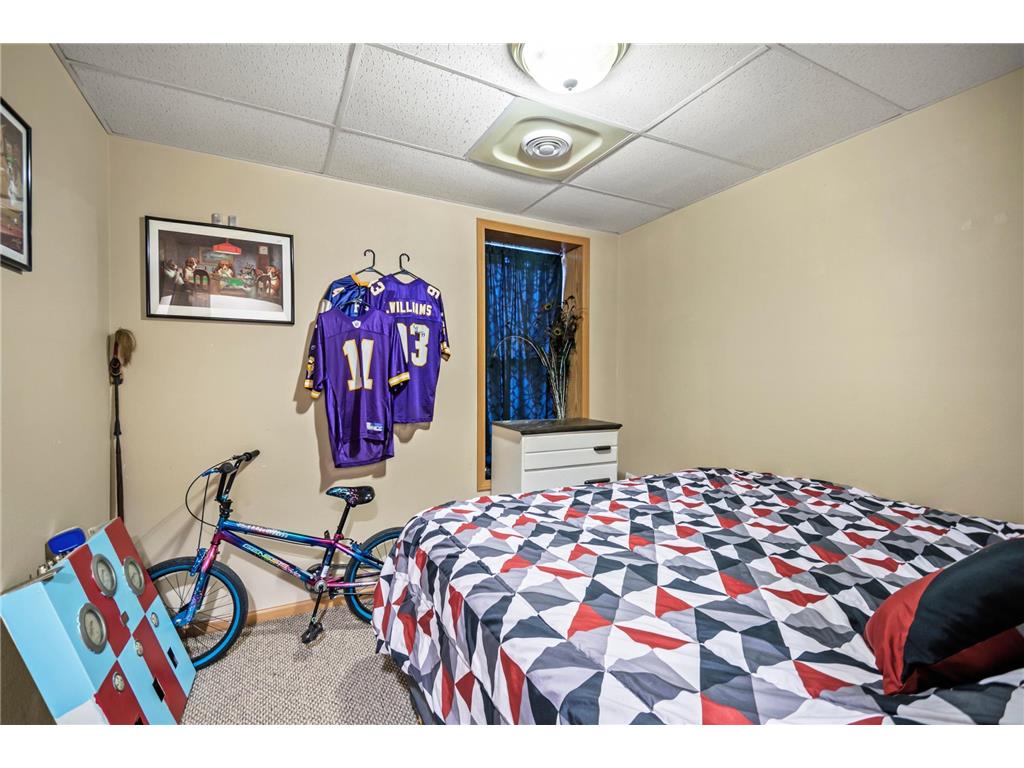 315 N Cedar Avenue Owatonna MN 55060 6658425 image51