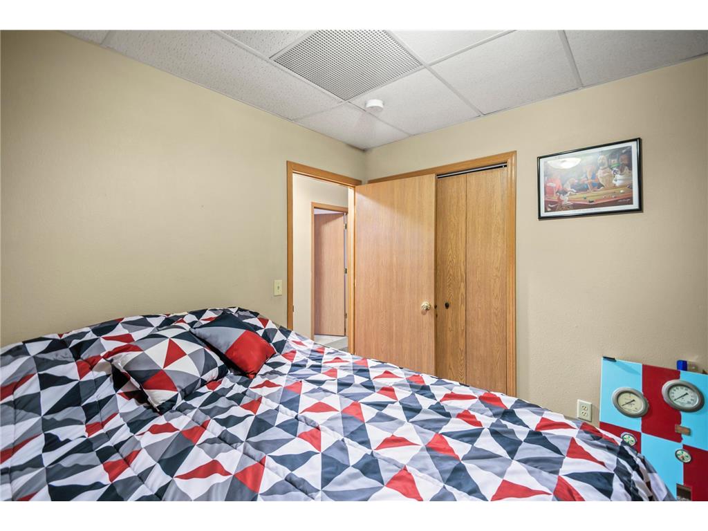 315 N Cedar Avenue Owatonna MN 55060 6658425 image52