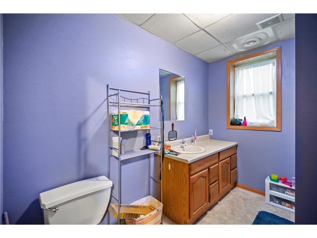 315 N Cedar Avenue Owatonna MN 55060 6658425 image53