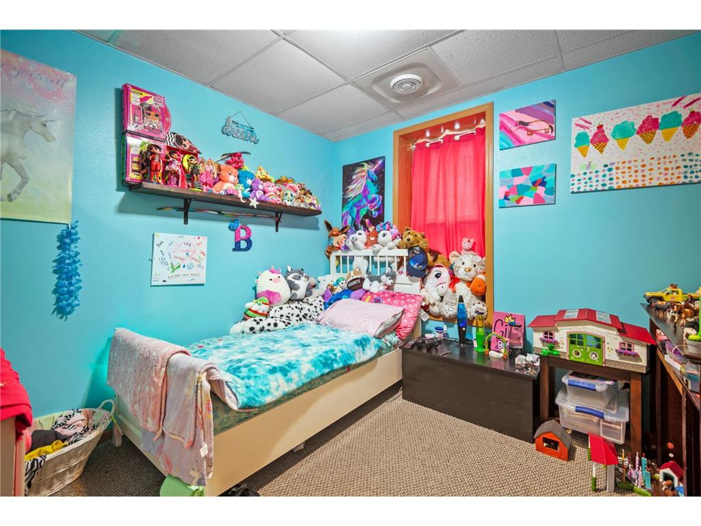 315 N Cedar Avenue Owatonna MN 55060 6658425 image54