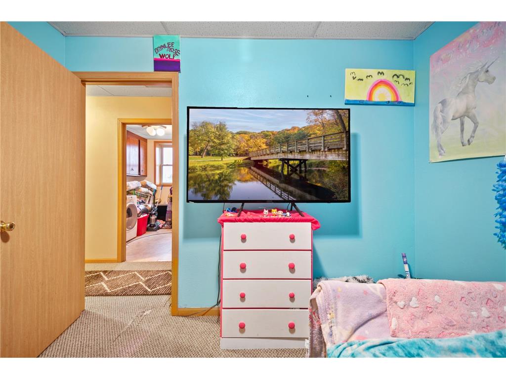 315 N Cedar Avenue Owatonna MN 55060 6658425 image55