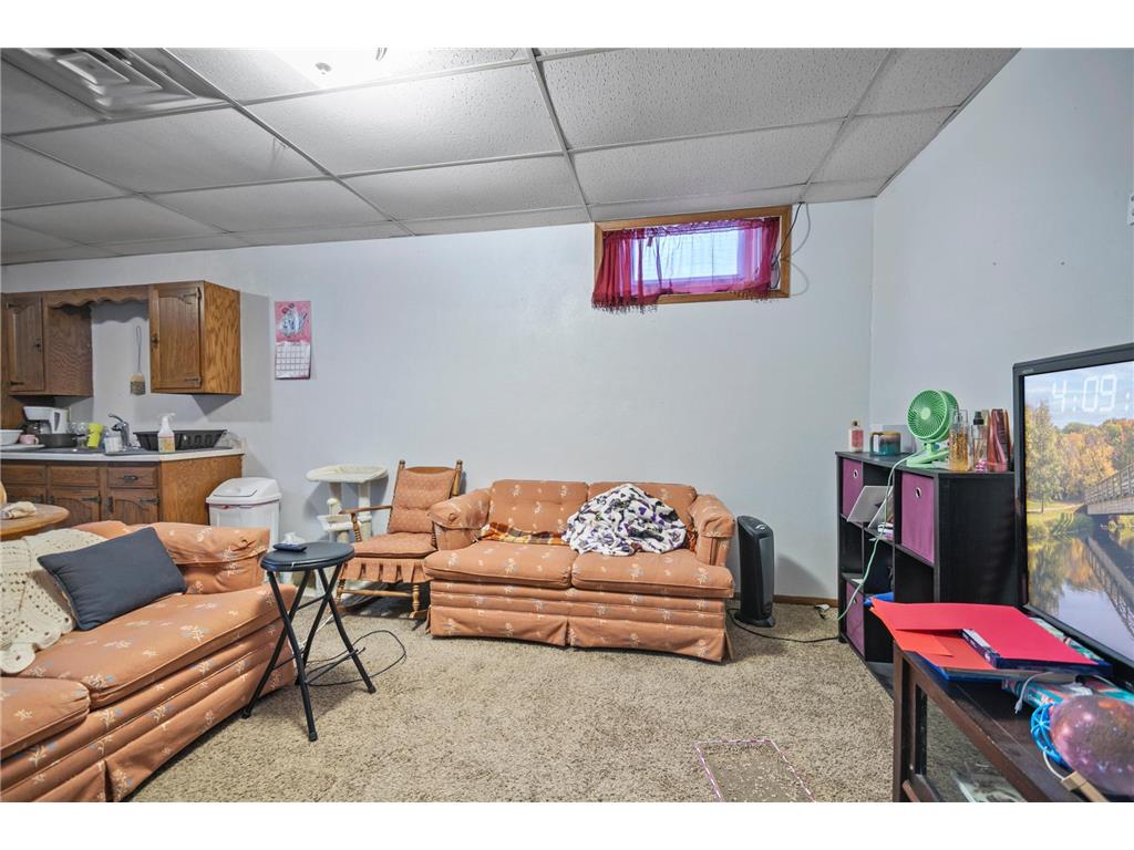 315 N Cedar Avenue Owatonna MN 55060 6658425 image58