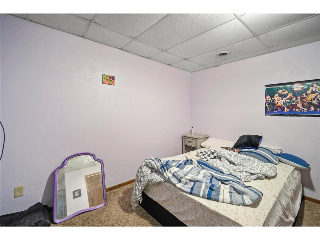 315 N Cedar Avenue Owatonna MN 55060 6658425 image59