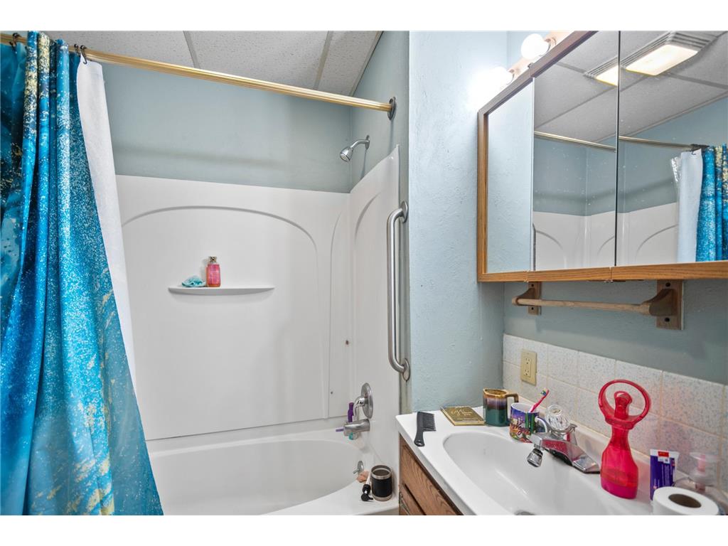 315 N Cedar Avenue Owatonna MN 55060 6658425 image64