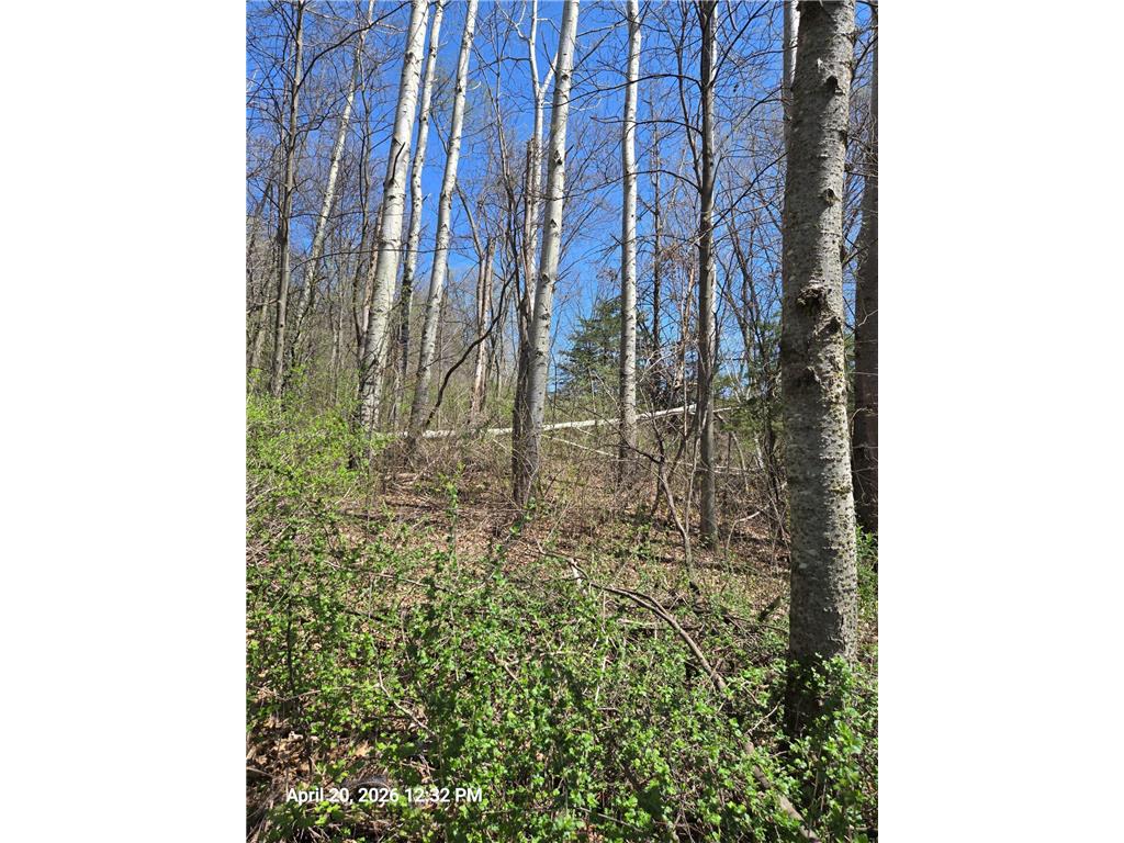 315 Oak Drive NW Preston MN 55965 6808139 image8