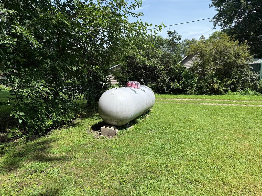 315 Palmer Street N Alpha MN 56111 6769974 image19