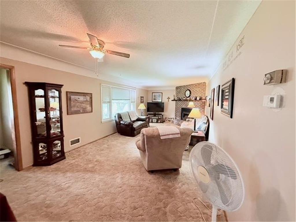 315 Palmer Street N Alpha MN 56111 6769974 image8