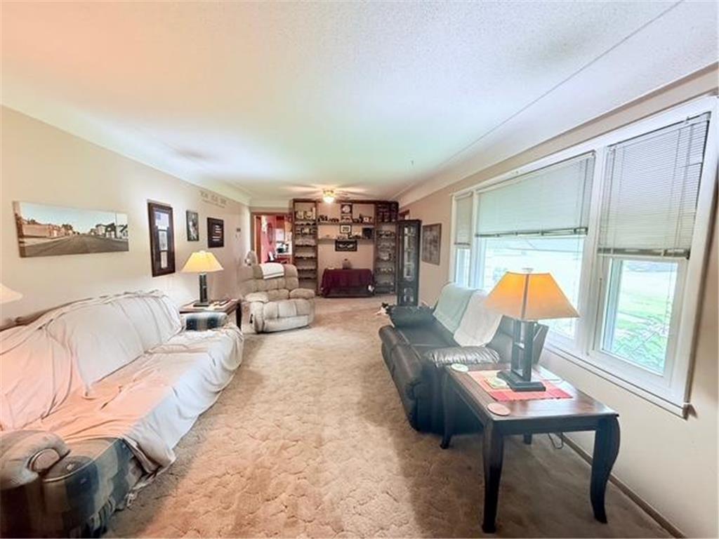 315 Palmer Street N Alpha MN 56111 6769974 image9