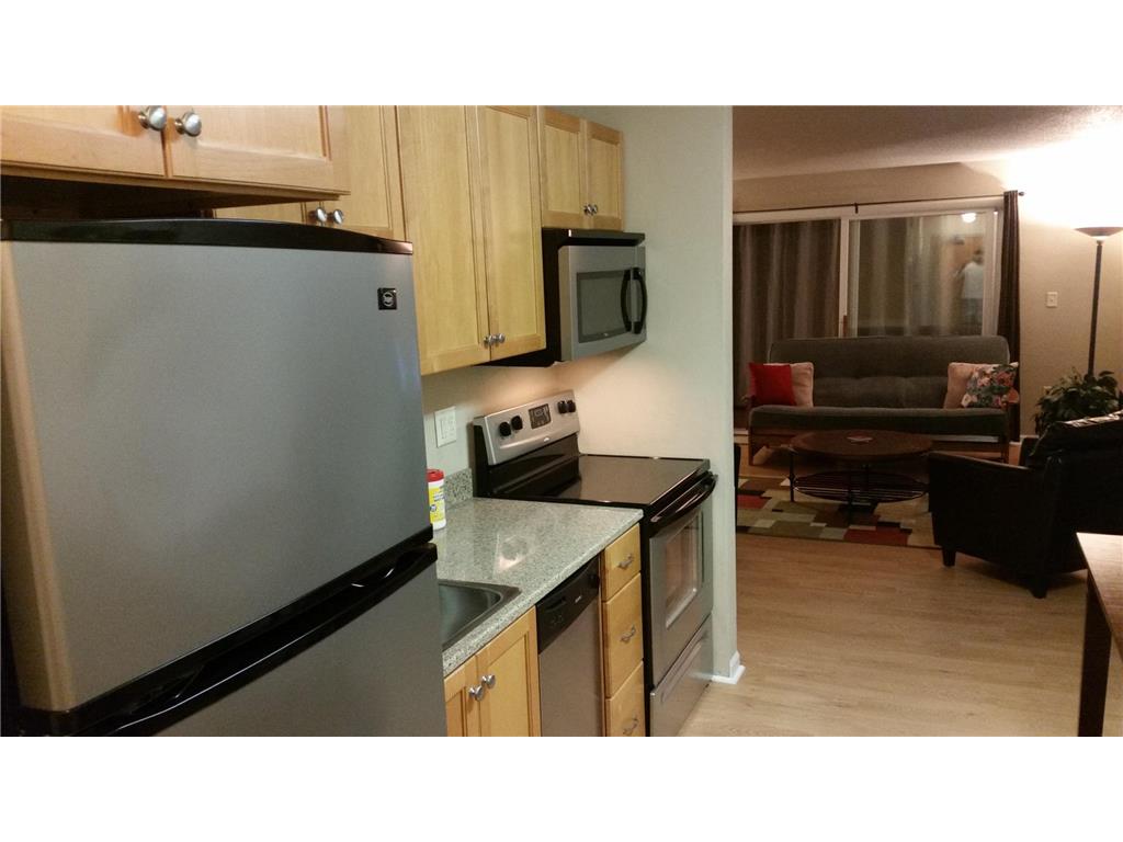 315 Park Lake Boulevard #302 Detroit Lakes MN 56501 - Detroit 6821592 image2