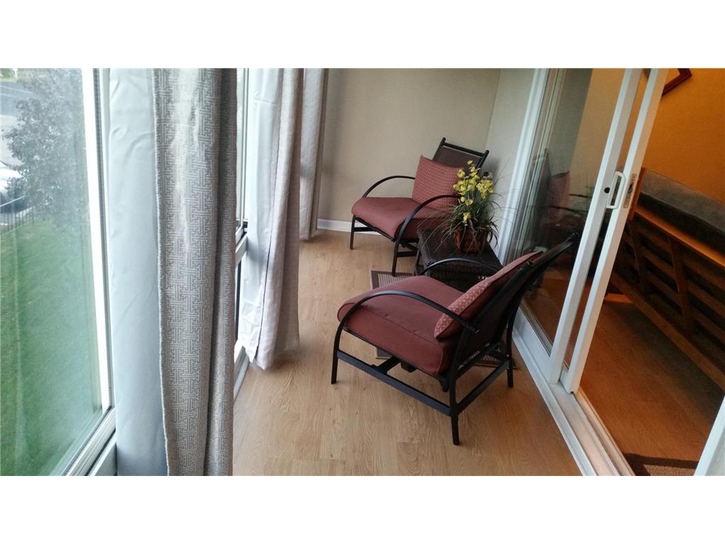 315 Park Lake Boulevard #302 Detroit Lakes MN 56501 - Detroit 6821592 image8