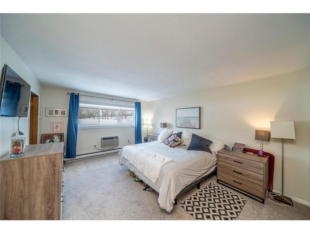 315 Park Lake Boulevard #314 Detroit Lakes MN 56501 - Detroit 7028226 image13